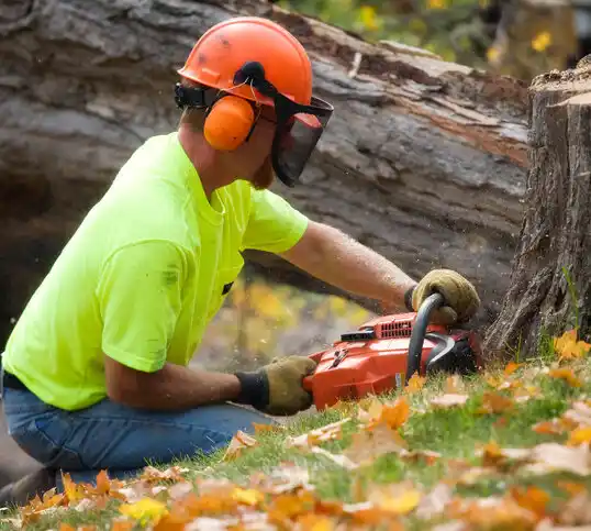 tree services Badin